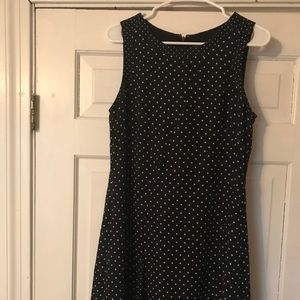 Anne Taylor Black/White Polka Dot Dress Size: 12P